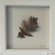 Oak leaf - white frame, small Oak leaf - white frame, small